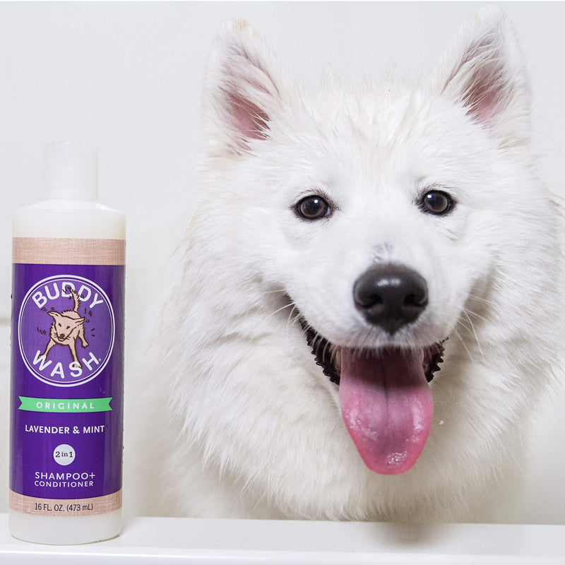 [Australia] - Buddy Wash Dog Shampoo & Conditioner for Dogs with Botanical Extracts and Aloe Vera Lavender & Mint 16 Fl Oz 