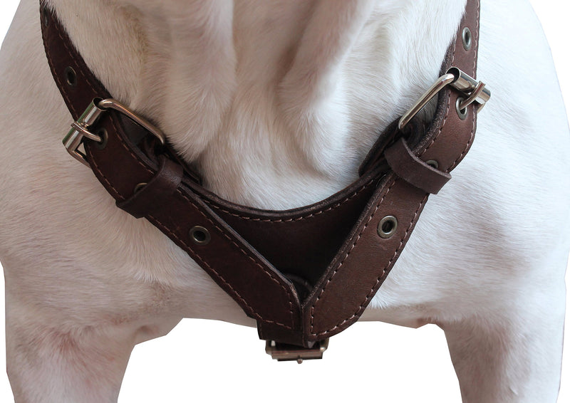 [Australia] - Genuine Leather Dog Harness Medium to Large 25"-32" Chest, 1" Wide Adjustable Straps Brown 