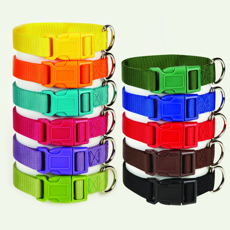 [Australia] - Zack & Zoey Nylon Pet Pet Collar - Yellow 14 to 20-Inch 