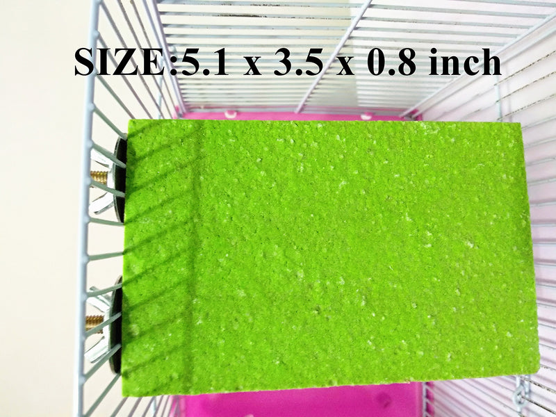 [Australia] - Hypeety Colorful Bird Perch Cage Stand Platform for Parrot Macaw African Greys Budgies Parakeet Cockatiels Natural Wood Board Safe Paw Grinding Clean Cage Toy (Random Color) B 