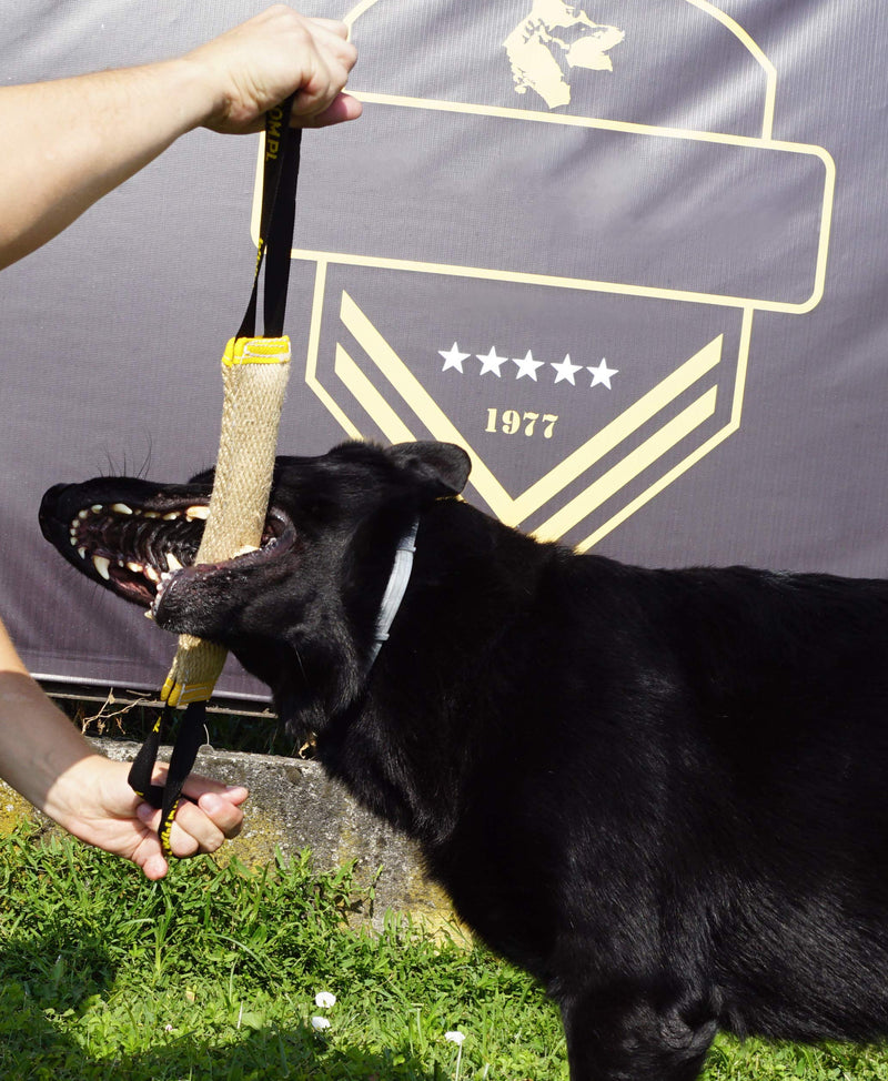 Dingo Jute Bite Tug With Two Handles For Tug Of War Play Dog Bite Training 12914 28 x 4 cm - PawsPlanet Australia