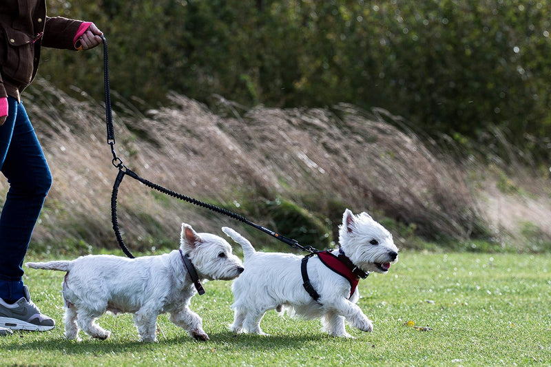 Sweetie Dog Lead Splitter – Dual Shock Absorbing Bungee Double Leash Coupler - Perfect Leads for Walking 2 Small to Medium Dogs on One Lead - No Tangle 360° Swivel Clip - Reflective Stitching Bungee Splitter - PawsPlanet Australia