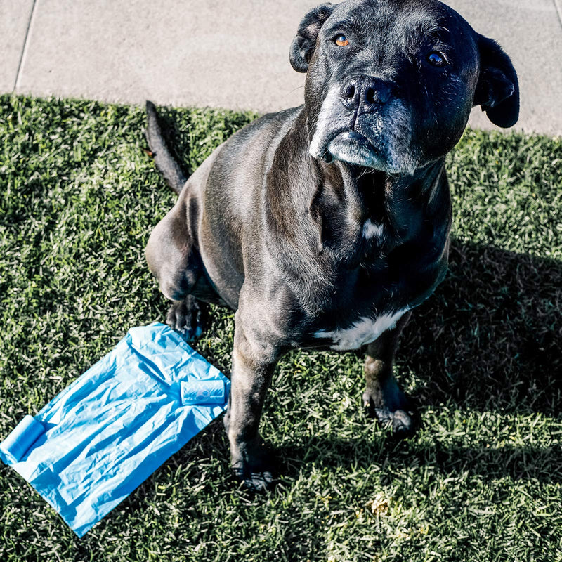 [Australia] - Wooflinen Eco-Friendly Poop Bags | Biodegradable Dog Waste Bags, Unscented, Made from Corn | Large and Thick Woof Blue 