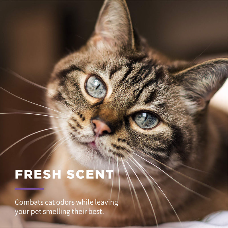 [Australia] - Wet Ones for Pets Freshening Multipurpose Wipes for Cats with Aloe Vera | Easy to Use Cat Cleaning Wipes, Freshening Cat Grooming Wipes for Pet Grooming in Fresh Scent | 50 ct Cannister Cat Wipes 50 Count 
