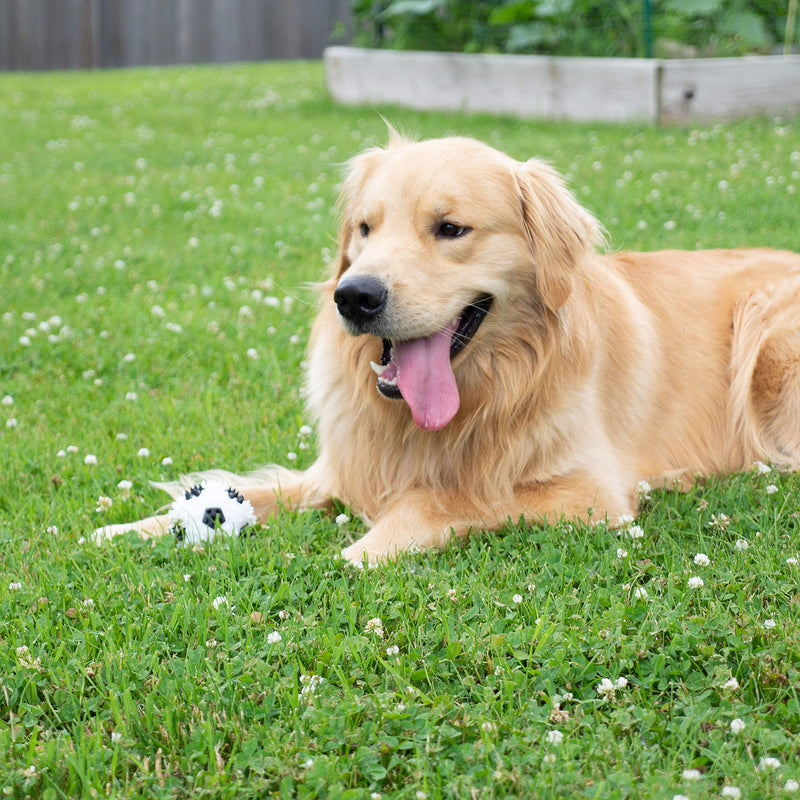 [Australia] - Gnawsome 3.5” Squeaker Soccer Ball Dog Toy - Medium, Promotes Dental and Gum Health for Your Pet, Colors Will Vary 