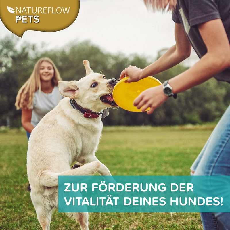 Natureflow Barf Supplement Dog - 1kg Natural Barf Powder Made in Germany as a high-quality all-round supply - Provides valuable minerals for dogs - Promotes vitality when barfing for dogs 1 KG - PawsPlanet Australia