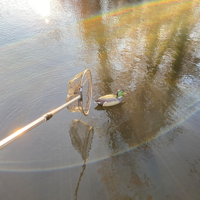 Selections Pond Net for Cleaning Ponds Telescopic handle reaches to 190cm - PawsPlanet Australia