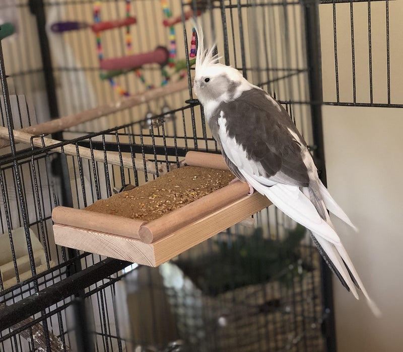 IW Designs Cage platform perch stand accessory! For budgies, canaries, finches, parrotlets! Beech doweling wood perimeter! Built to last! Aesthetic look! It will look great in any cage! - PawsPlanet Australia