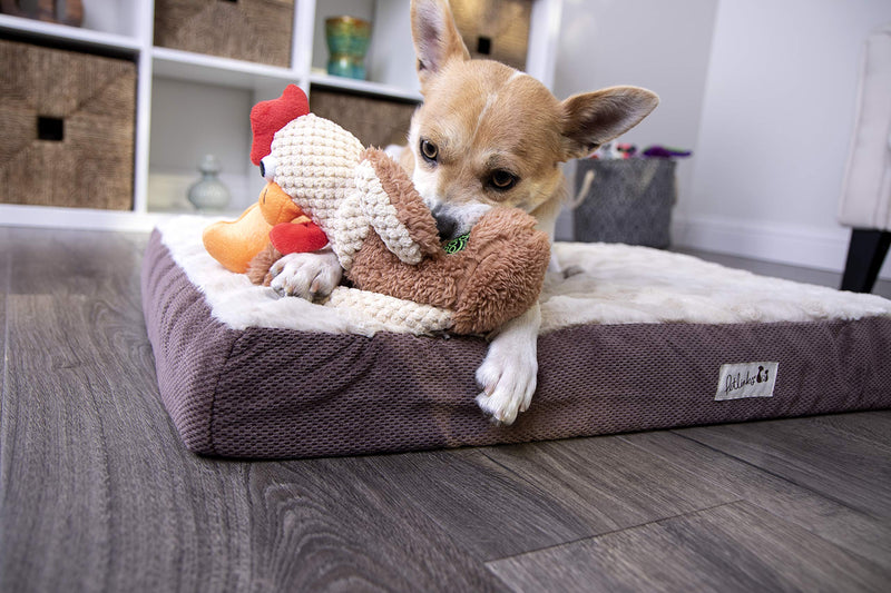 [Australia] - goDog Checkers Skinny Rooster With Chew Guard Technology Tough Plush Dog Toy, Brown, Small (70881) 