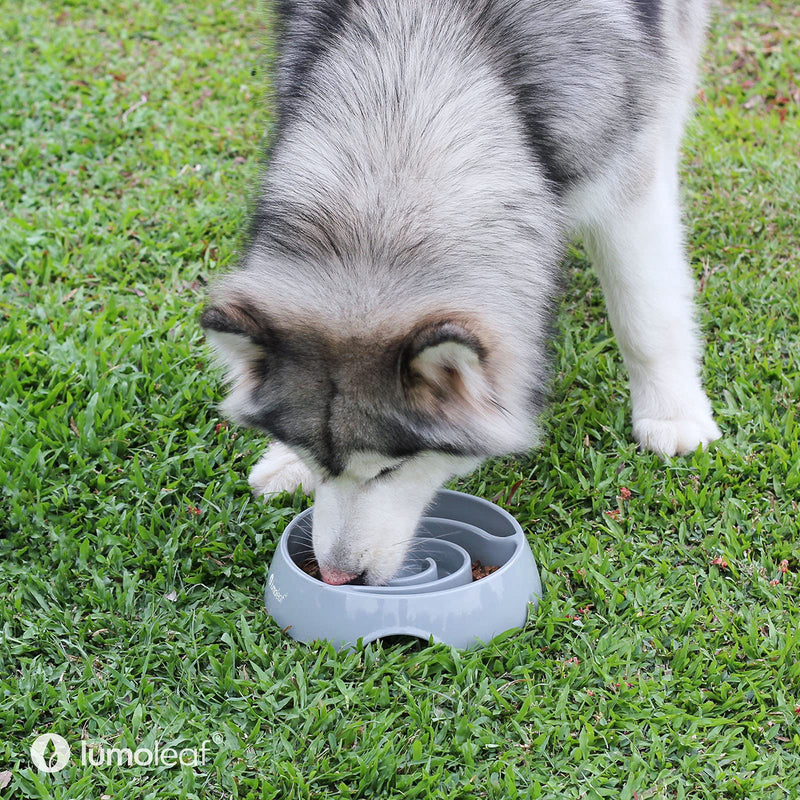 LumoLeaf Slow Feeder Dog Bowls Large 22cm 4 Cups Heavy Puzzle Food Bowl Non-Slip Melamine Pet Maze Dishes for Medium Large Sized Dogs (Tornado-Grey, 4 Cup) Tornado-Grey - PawsPlanet Australia