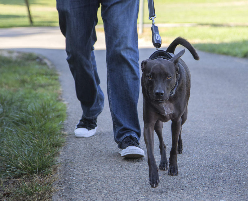 [Australia] - Sherpa Travel Dog Collars Harnesses and Leashes one size no pull lead 