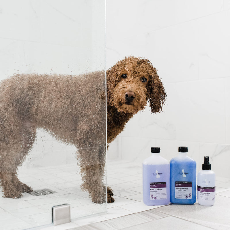 Isle of Dogs - Everyday Elements Lush Coating Conditioner For Dogs - Violet + Sea Mist - Pet Conditioner With Evening Primrose & Jojoba Oil For A Fuller Coat - Made in the USA - 16.9 Oz,Purple,710 - PawsPlanet Australia