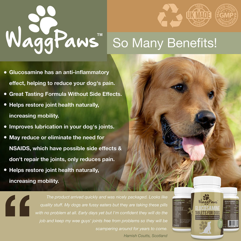 WaggPaws Dog Joint Supplement With Glucosamine For Stiff And Older Dogs - With Green Lipped Mussel, MSM, Hyaluronic Acid and Curcumin - Pet Supplies Dogs - 120 Chicken Flavoured Chewable Tablets - PawsPlanet Australia