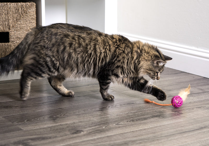 [Australia] - SmartyKat Catnip and Feather Cat Toys Feather Chase 