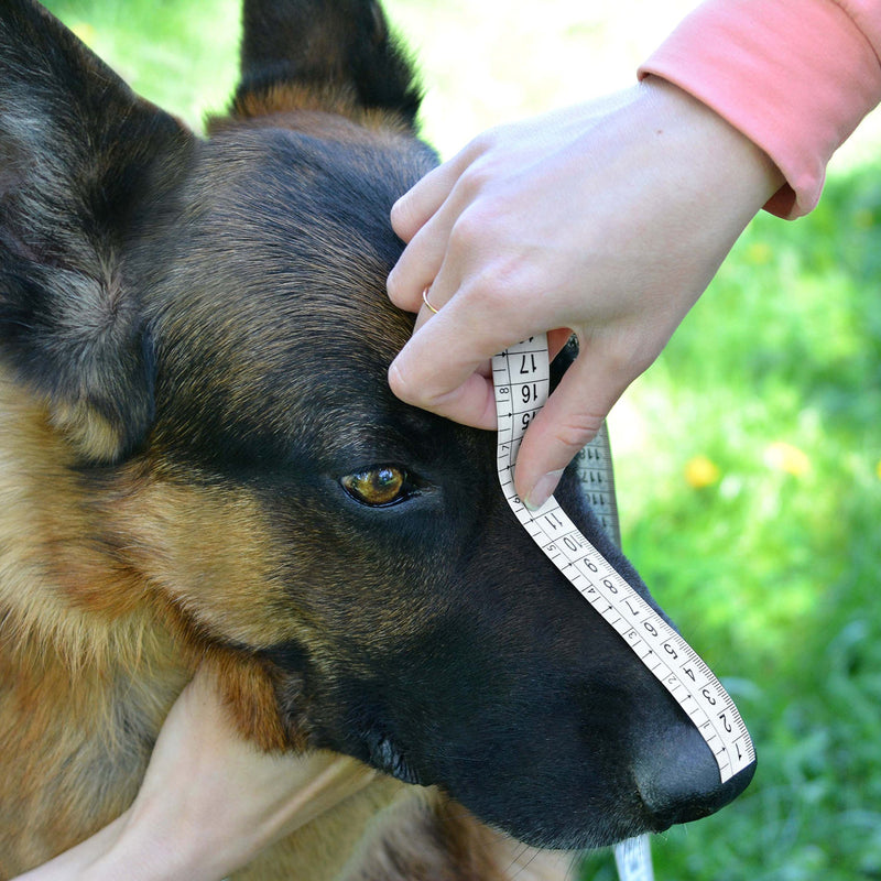 BronzeDog Wire Basket Dog Muzzle German Shepherd Metal Leather Adjustable Medium - PawsPlanet Australia