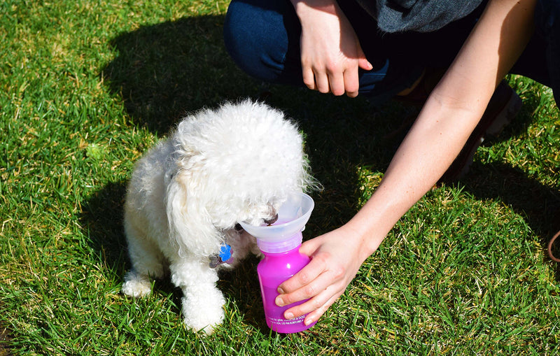 [Australia] - Highwave AutoDogMug Mini Pink 