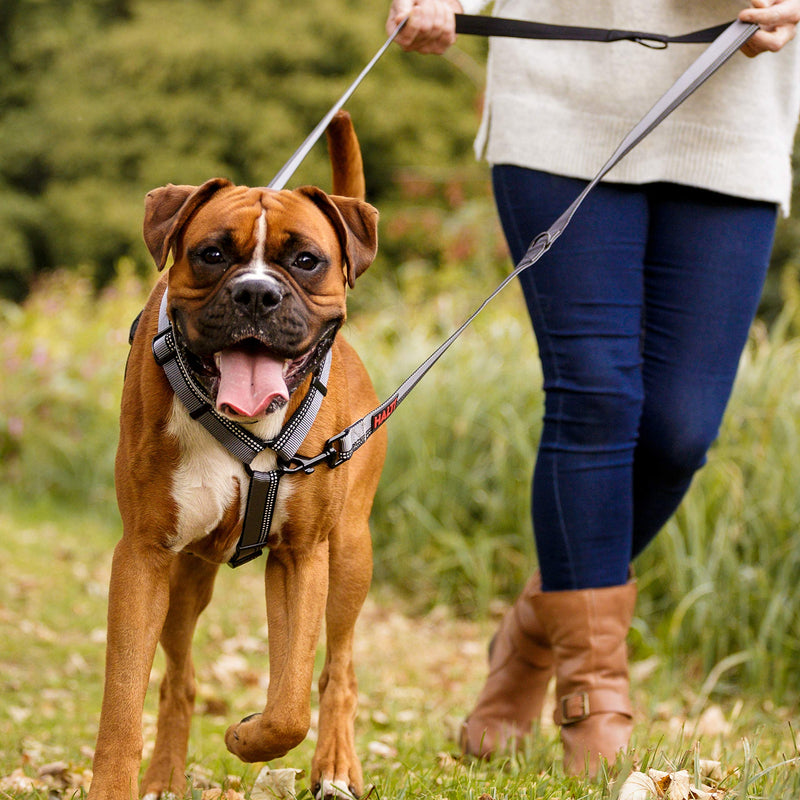 Halti Double Ended Lead (6'6"), Black/Grey - PawsPlanet Australia