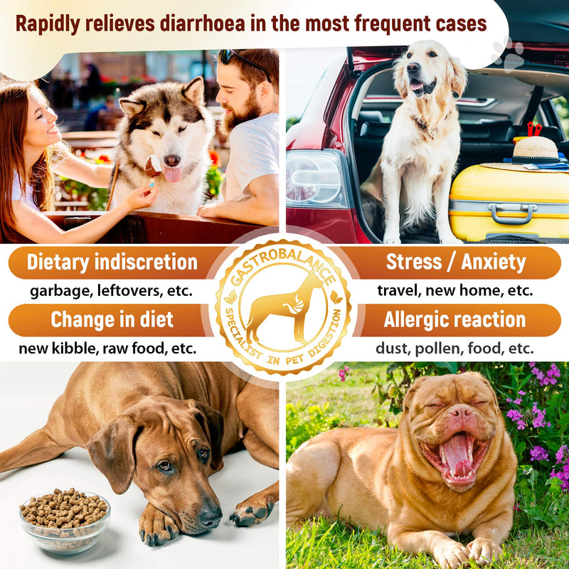 GastroBalance fast-acting diarrhea aid for dogs - natural dog diarrhea treatment with immediate effect - PawsPlanet Australia