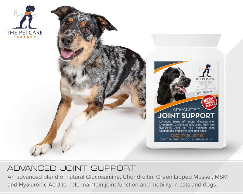 Advanced Joint Support Supplement For Dogs, With Powerful Glucosamine, Chondroitin, Green Lipped Mussel, MSM, Curcumin & Hyaluronic Acid, Human Grade Ingredients, 120 Tablets, UK Manufactured - PawsPlanet Australia