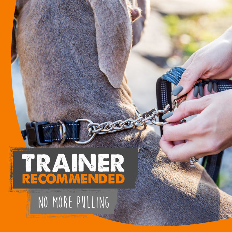 Mighty Paw Martingale Collar, Training Dog Collar, Limited Cinch Chain Pet Gear for No Pull Leash Walking Small Black - PawsPlanet Australia