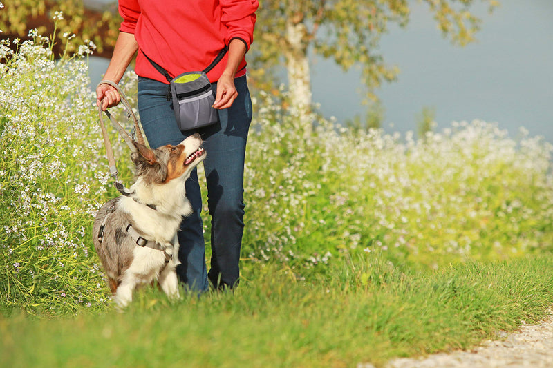 [Australia] - Pets First Dog Treat Training Pouch - Treat Bag for Kibble, Food, Toys, Accessories with Built-in Poop Bag Dispenser - Holder for Small, Medium & Large Dogs & Puppies with Multiple Ways to Wear 