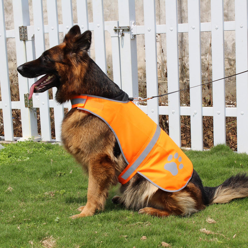 [Australia] - Hiado Dog Reflective Safety Vest High Visibility for Walking Running Hiking to Keep Dogs Visible Safe from Cars and Hunting Accidents L(chest 25"-30") Orange 