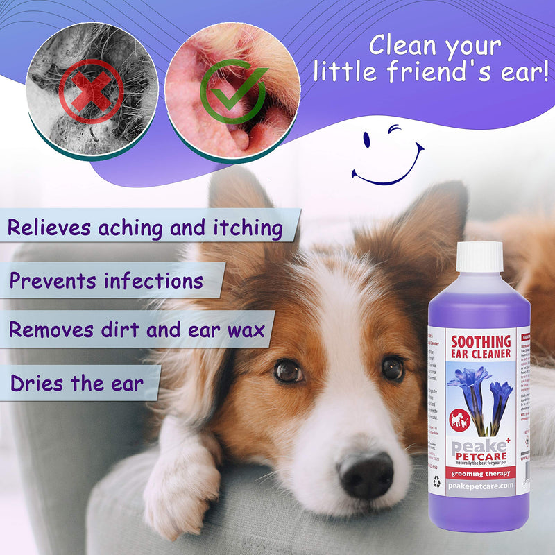 Quistel Dog Ear Cleaner Solution - Soothing Canaural Ear Drops - Dog Ear Drops for Infection Wax Dirt Yeast and Mites - 500ml - PawsPlanet Australia