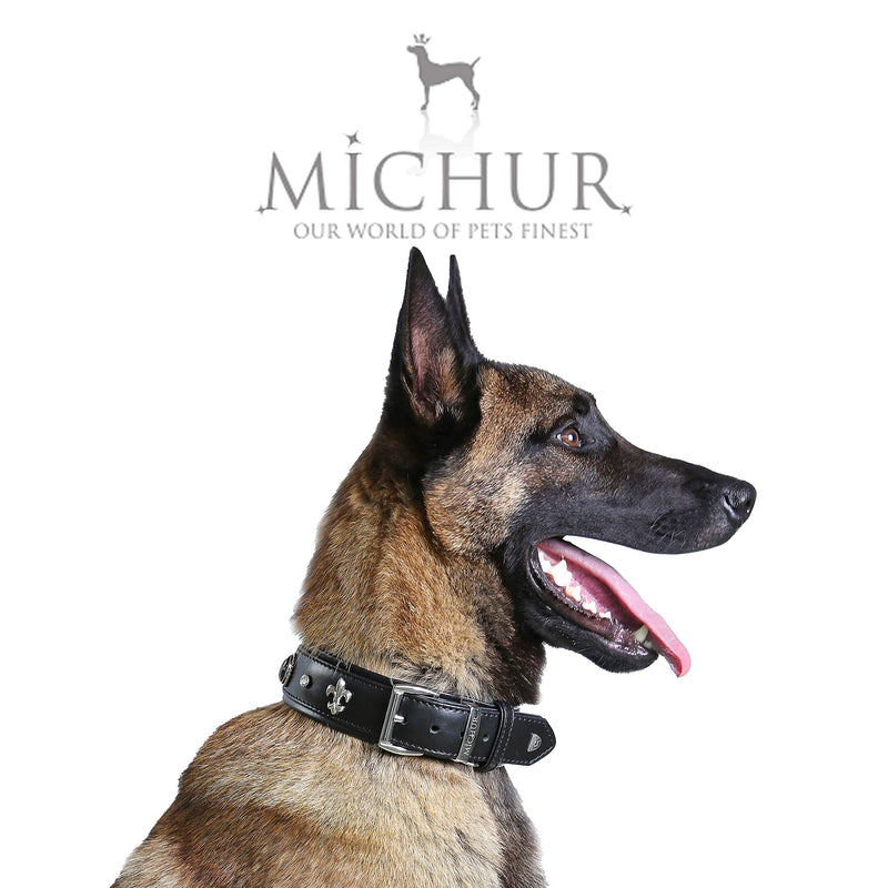 MICHUR El Pavo Dog Collar Leather, Leather Collar Dog, Collar, Black, LEATHER, with lilies, rhinestones and big peacock eye Neck circumference 20,47-22,83" - PawsPlanet Australia