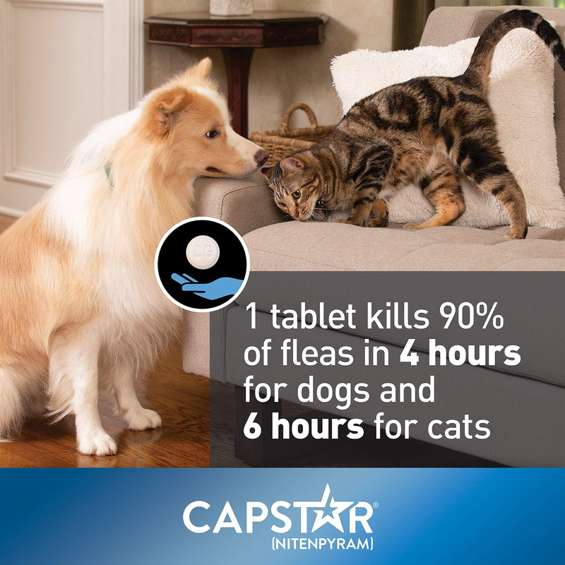 Capstar Fast-Acting Oral Flea Treatment for Dogs Small Dogs, 2-25 lbs - PawsPlanet Australia