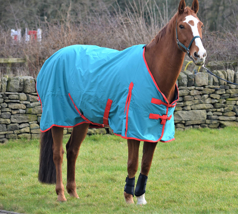 Turners Lightweight 100g Fill Waterproof Turnout Rug for Horse and Shetland Pony 3'0" - PawsPlanet Australia