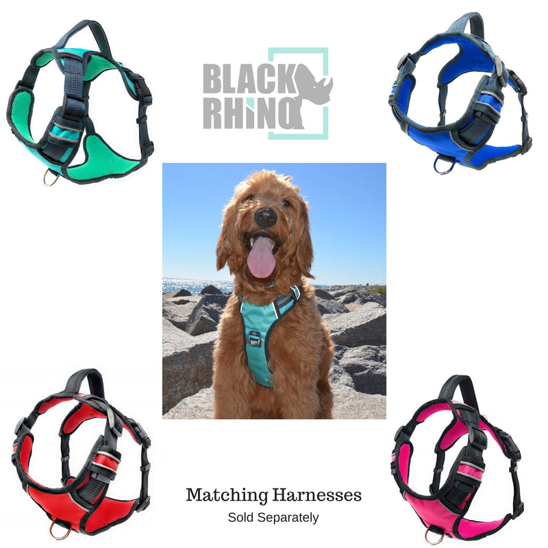 [Australia] - Black Rhino - Premium Hands Free Dog Leash for Running Walking Jogging & Hiking - Adjustable Length Dual Handle Bungee Leash Medium – Large Dogs Neoprene Padded Handles 4 Feet Gray/Aqua 