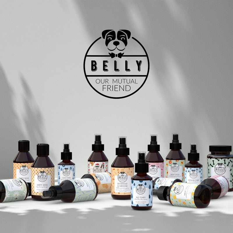 Belly Dog Deodoriser Spray - Natural Dog Perfume Spray and Dog Cologne Spray - Dog Spray For Smelly Dogs - Grooming Products For Dogs, Dog Deodorant Spray, Puppy Spray, Puppy Perfume Spray, 250 ml - PawsPlanet Australia