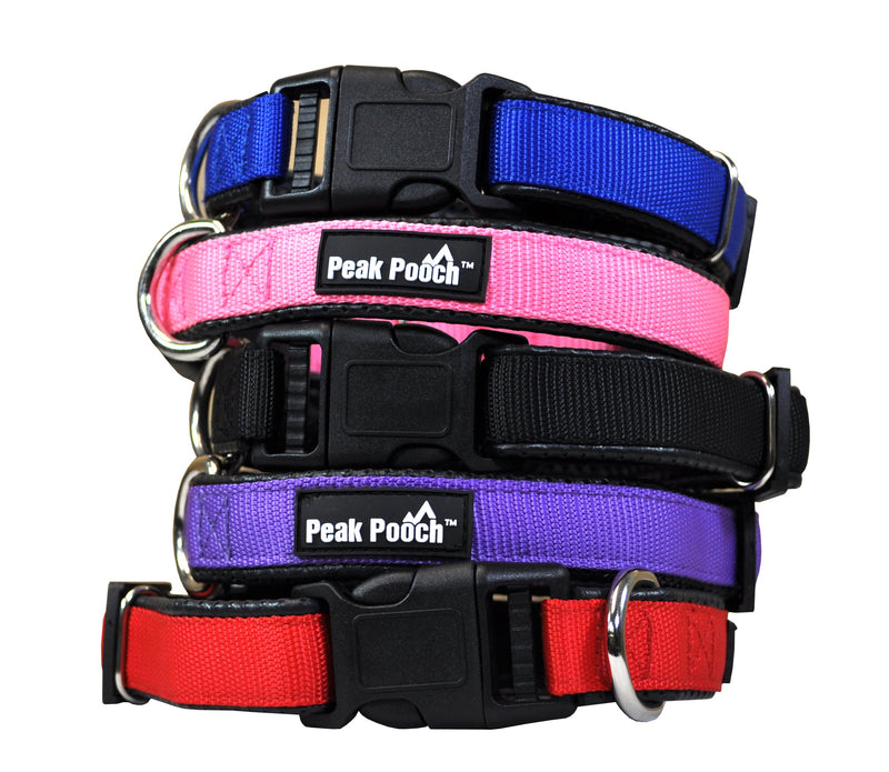 [Australia] - Downtown Pet Supply Plastic Quick Release Dog and Puppy Collar (Black, Small) 