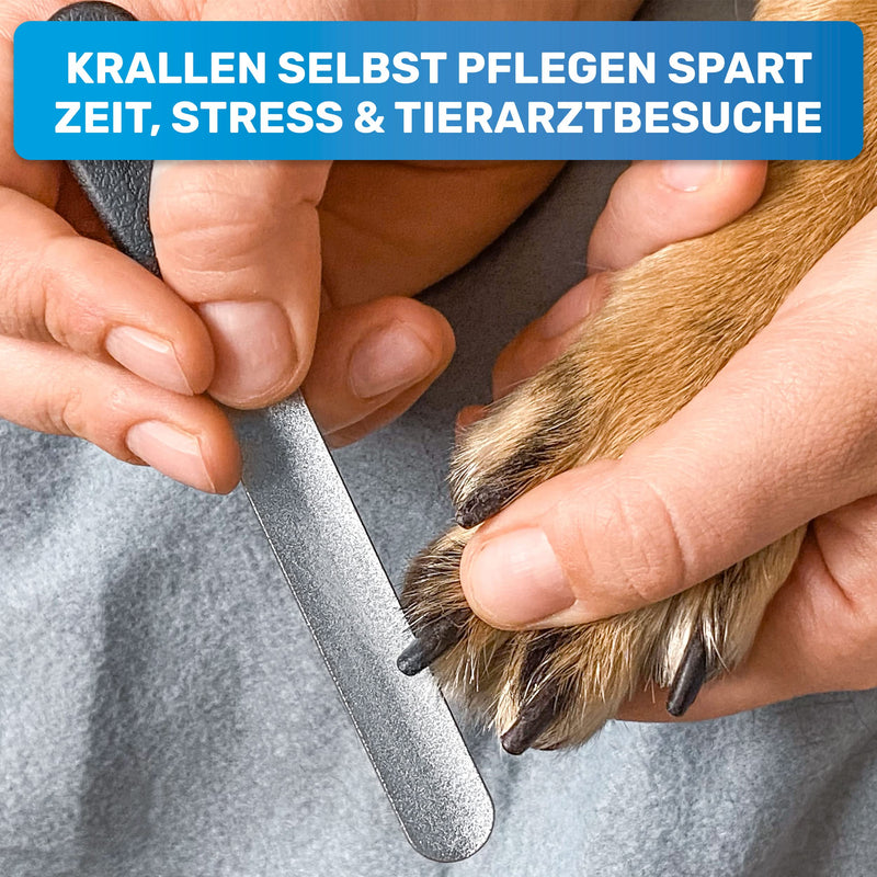 BluePet 12 cm claw file nail file for removing sharp edges and optimal claw care for dogs, cats and small animals (1x fine) 1x fine - PawsPlanet Australia