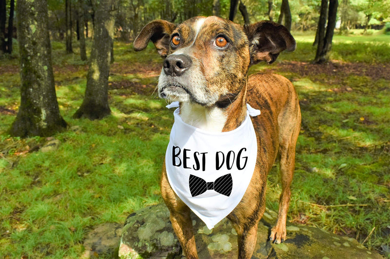 Moonwake Designs Best Dog Bandana, Wedding Dog Bandana, Bridal Party Dog Bandana, Wedding Photo Prop, Pet Scarf, Pet Accessories - PawsPlanet Australia