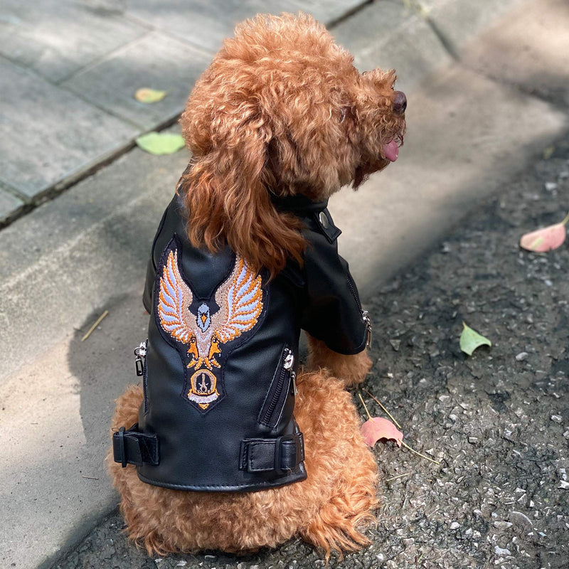 Lovelonglong Cool Dog Leather Jacket, Warm Coats Dogs Windproof Cold Weather Coats for Large Medium Small Dogs With Eagle Embroidery Black XS XS (Mini Dog ~4 Lbs) Black-Eagle - PawsPlanet Australia