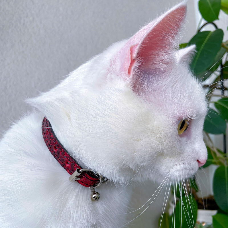 FAVPET Luxury cat collars leather, handmade cat collar with bell, genuine leather cat collar with metal buckle, designer cat collar made of leather, cat collar with bell (brown) brown - PawsPlanet Australia