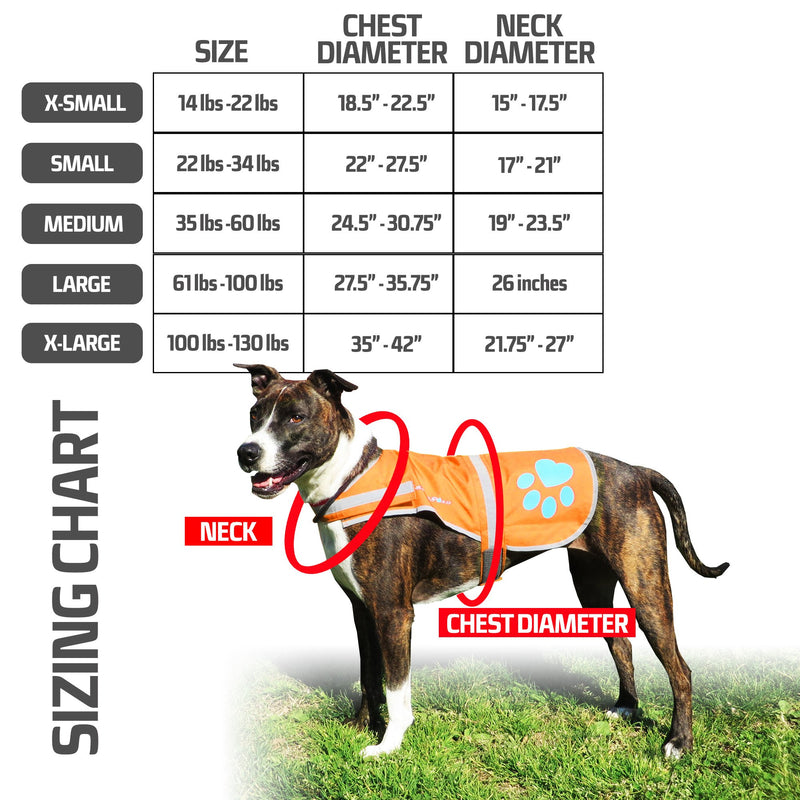 SafetyPUP XD - Reflective Dog Vest. Hi-Visibility, Fluorescent Blaze Orange Dog Vest Helps Protect Your Best Friend. Safeguard Your PUP from Motorists & Hunting Accidents, On or Off Leash. 5 Small - PawsPlanet Australia