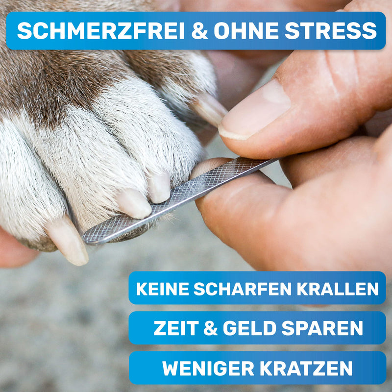BluePet ClawsSchön professional claw scissors with protection for dogs and cats - extra safe thanks to spacers - including nail file bestseller size Ml with protection - PawsPlanet Australia