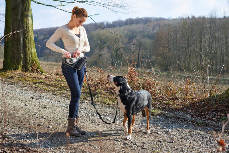 HUNTER Belt Pouch with Anti-Jerk Lead, Jasper Black/Grey - PawsPlanet Australia