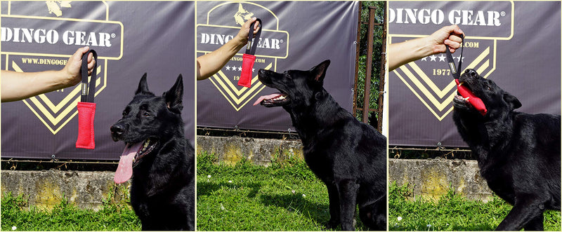 DINGO GEAR Nylcot Bite Tug for Dog Training K9 IGP & Fun, 1 Handle, Black 15 x 5 cm - PawsPlanet Australia