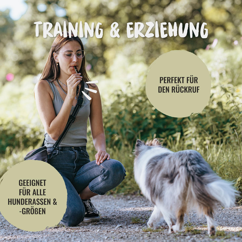 Rudelkönig dog whistle for recall - professional training whistle with standardized frequency and whistle band - ideal for dog training black - PawsPlanet Australia