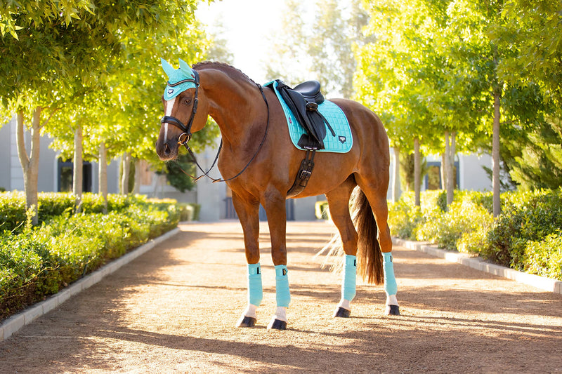 LeMieux Loire Classic Dressage Square Saddle Pads for Horses in Azure - 100% Natural Bamboo - Breathable - Large - PawsPlanet Australia