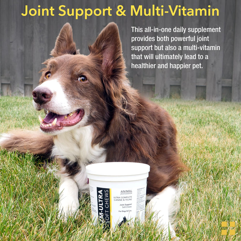 Animal Pharmaceuticals ZM-Ultra Joint Supplement for Dogs & Cats - Fish Oil, Glucosamine for Dogs, Chondroitin, MSM, Rimoxen, & Omega 3 - Dog Hip and Joint Supplement & Dog Multivitamin - 60 ct - PawsPlanet Australia