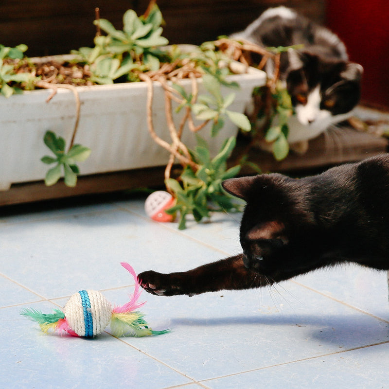 [Australia] - Highland Farms Select Cat Toys Variety Pack for Kitty 20 Pieces 