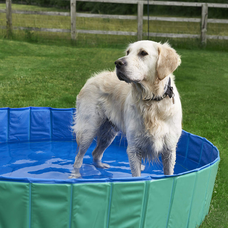 Pet Mania - XL Green Foldable Pet Swimming Paddling Pool for Dogs - 160x30cm - PawsPlanet Australia