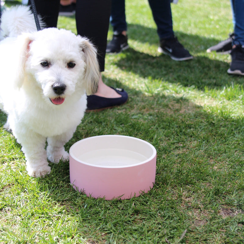 [Australia] - Magisso Happy Pet Project Naturally Cooling Ceramics Water Bowl tal-lt Pink 