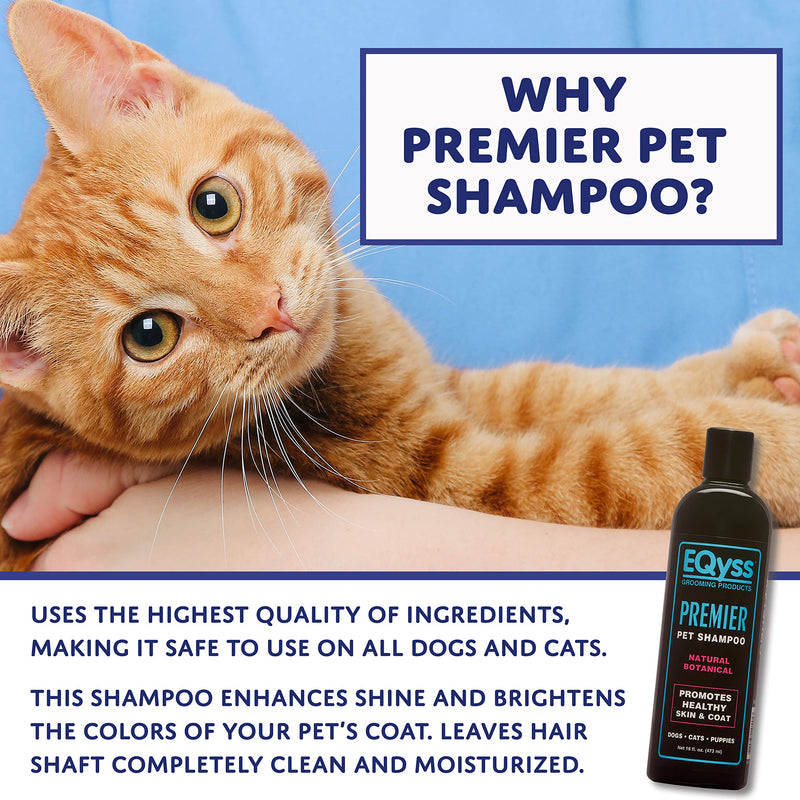 [Australia] - Eqyss Premier Pet Shampoo - Promotes Healthy Skin and Coat 16 Ounce 