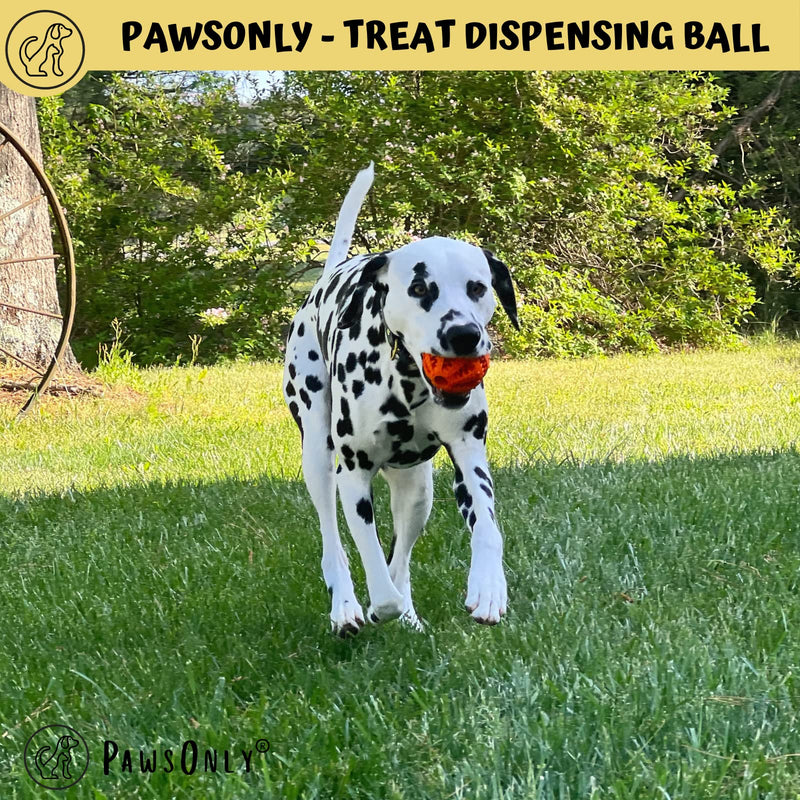 PawsOnly Dog Ball for Small Large Dogs | Food ball for dogs | Puppy toys | Natural rubber | Dental Care Dog Toys | Dog Toy Intelligence Ball (Small 6 cm, Blue) Small 6 cm - PawsPlanet Australia