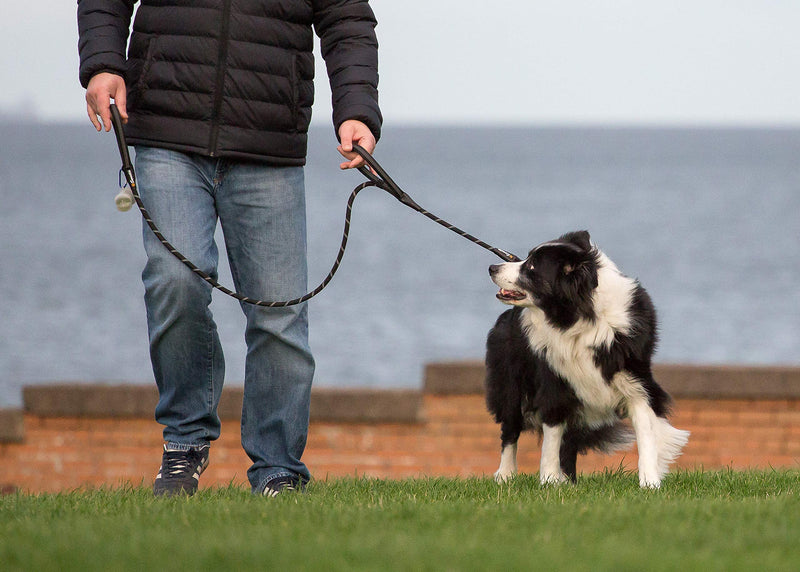 Sweetie Rope Dog Lead - Strong Leash Black with 2 Comfortable Padded Handles 5 FT for Medium & Large Size Pets - Reflective, Weather Resistant & O-Ring Dual Handle Black - PawsPlanet Australia